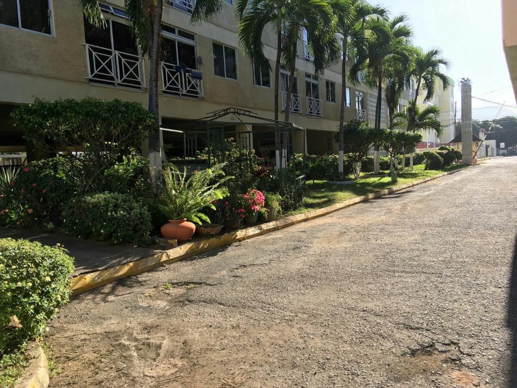 Angel'S Apartment Jamaica キングストン エクステリア 写真
